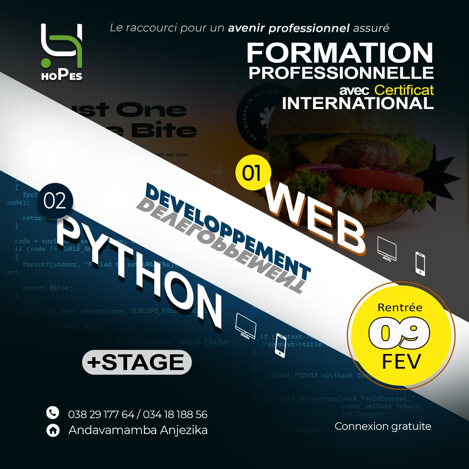 Illustration : Dev web & Python